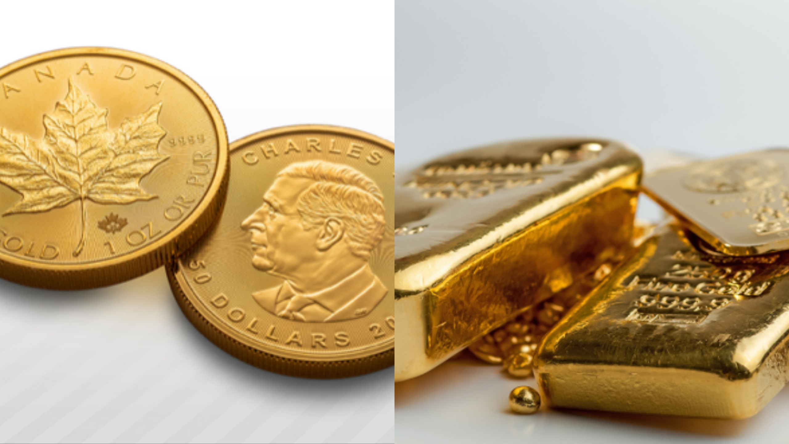 Canadian Gold Maple Leaf coin and 250 gram gold bars