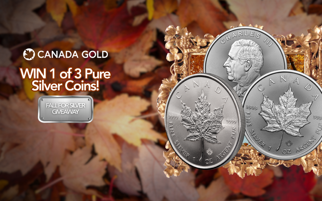 Welcome Autumn with Our “Fall for Silver” Giveaway!