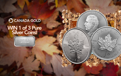 Welcome Autumn with Our “Fall for Silver” Giveaway!