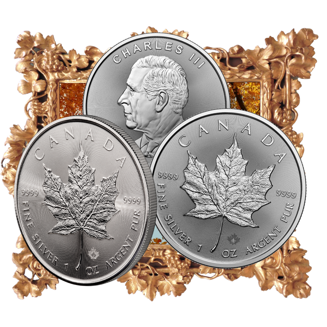 10 Dollars 2024 Welcome to the World Canadian Pure Silver Coin